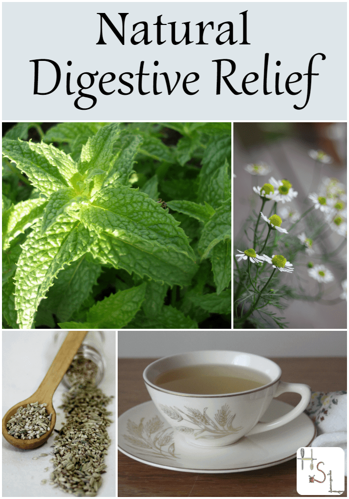 Natural Digestive Relief | Homespun Seasonal Living