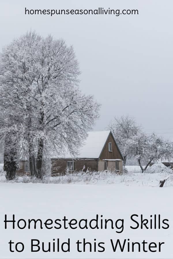 A house surrounded by trees all covered in snow.