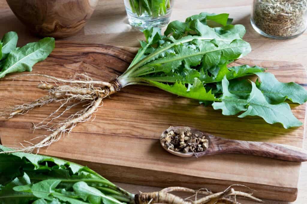 A dandelion plant with root attached sits on a board next to a spoon full of chopped dandelion roots. 