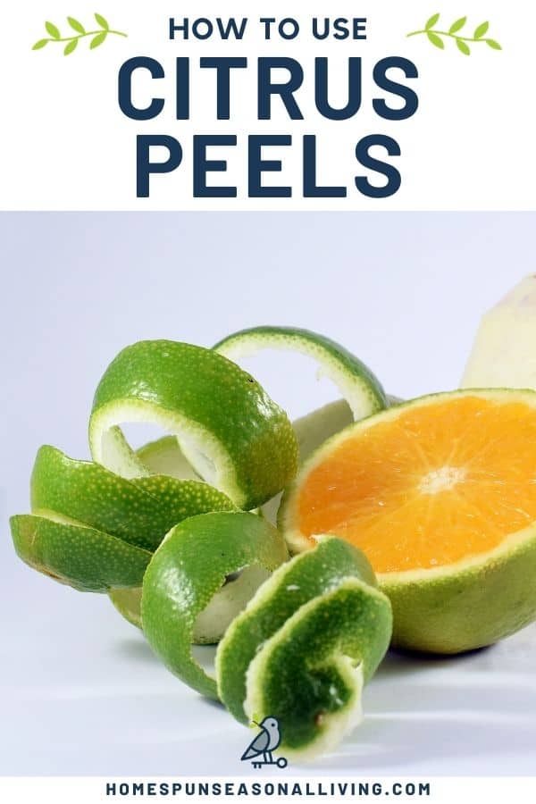 A lime cut in half sitting next to a coil of lime rind with text overlay reading: how to use citrus peels.