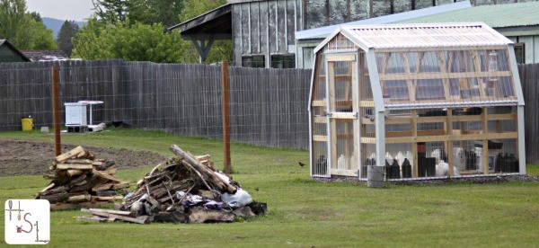 Make achieving homesteading goals easier by doing it stages and starting now. 