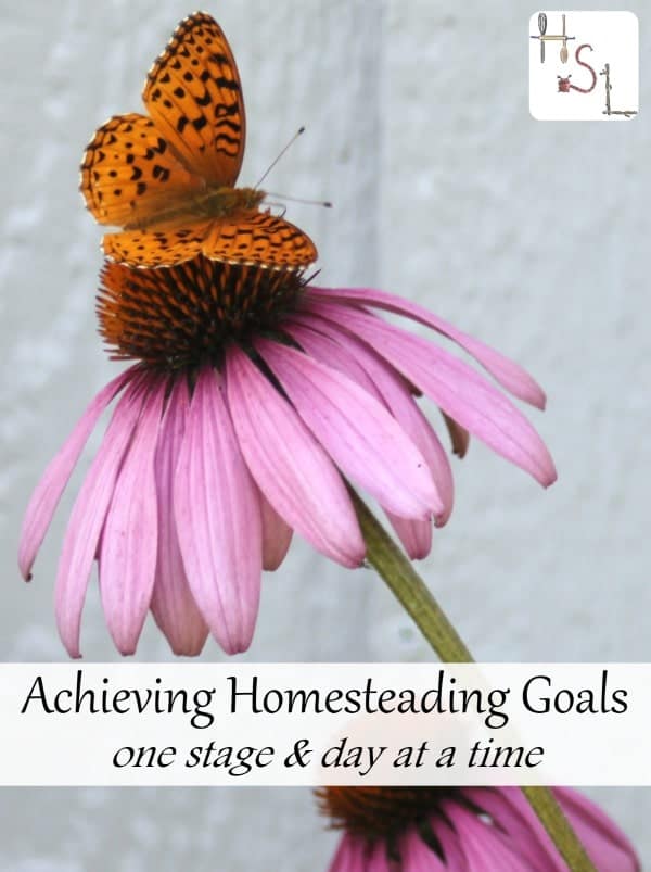 Make achieving homesteading goals easier by doing it stages and starting now. 