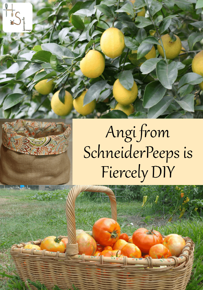 An interview with Angi from SchneiderPeeps about her Fiercely DIY habits.
