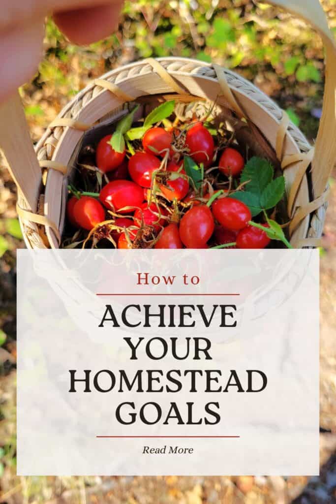 A basket full of red rose hips as seen from above. Text overlay reads: How to Achiever Your Homesteading Goals.