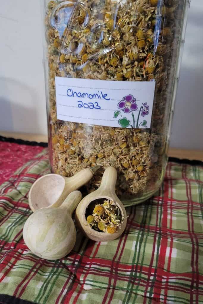 A jar with dried chamomile flowers sits ona decorative cloth. In front of the jar are tiny scoops made from gourds.