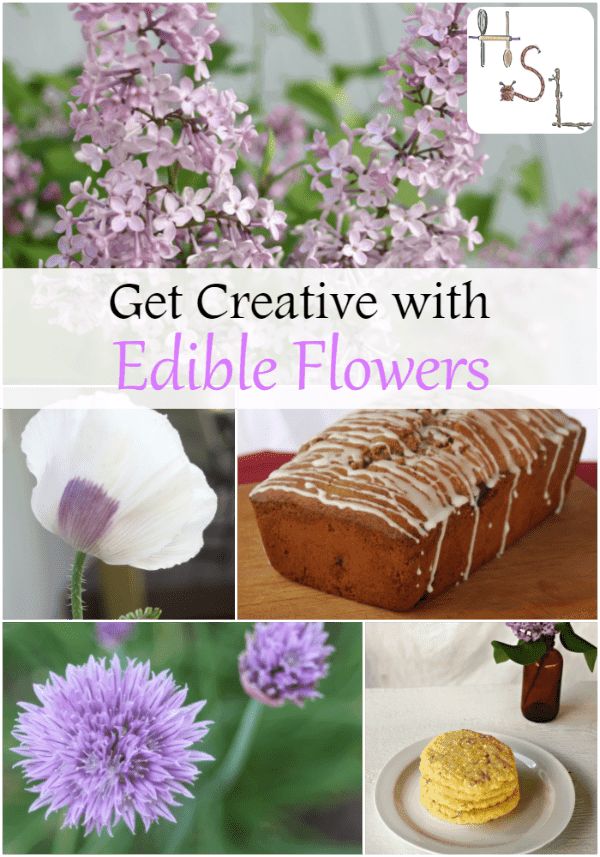 Get creative in the garden and the kitchen by adding edible flowers to the garden beds this year.