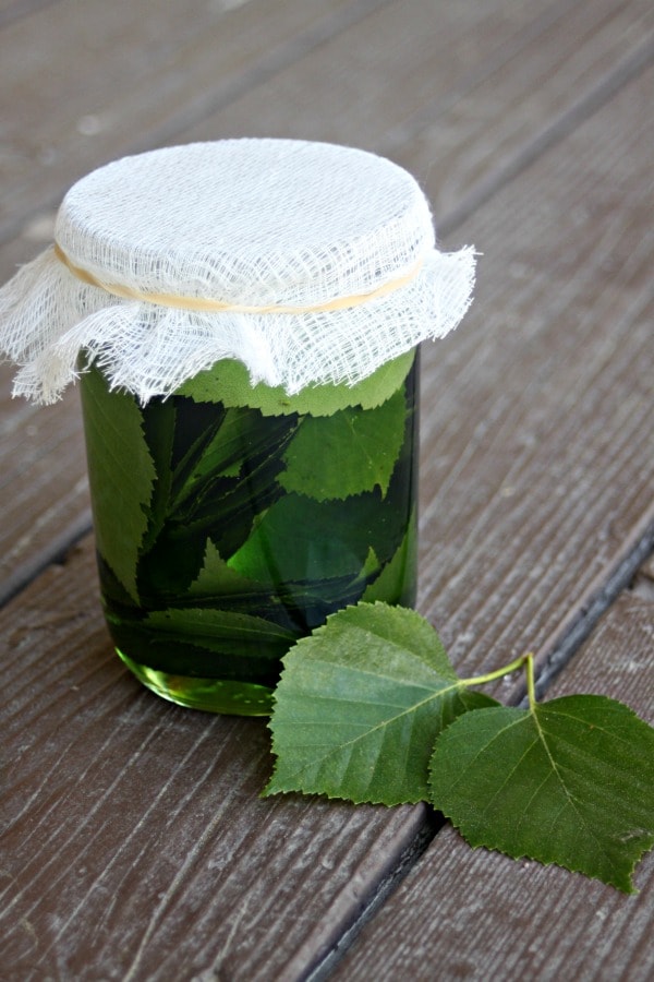 Make these herbal home remedies this spring and summer and be ready for whatever illness or malady comes your way throughout the year.