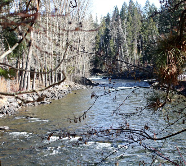 Connect to a seasonal life by using these tips for walking with intention and connection to the natural rhythm of the earth.