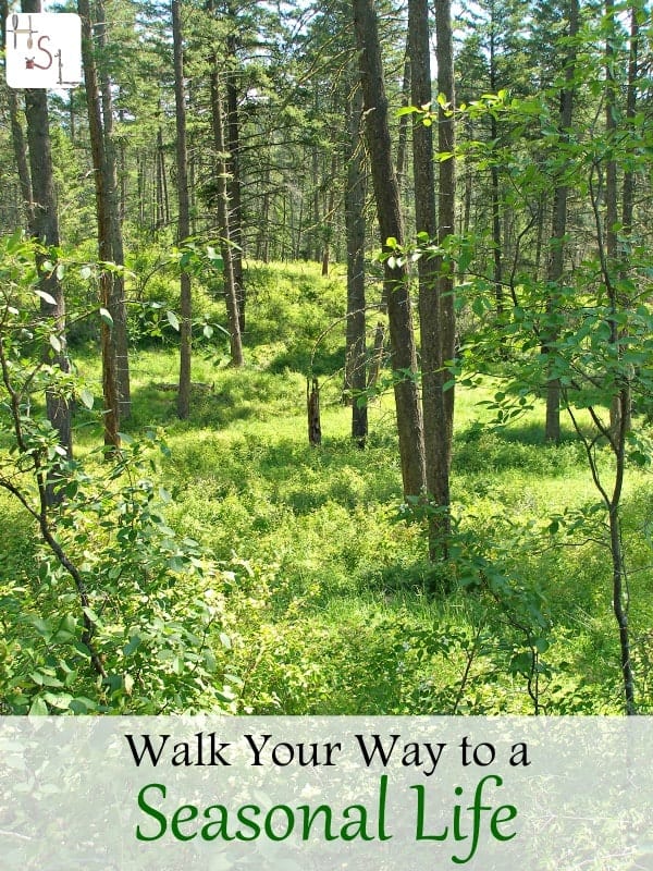 Connect to a seasonal life by using these tips for walking with intention and connection to the natural rhythm of the earth.