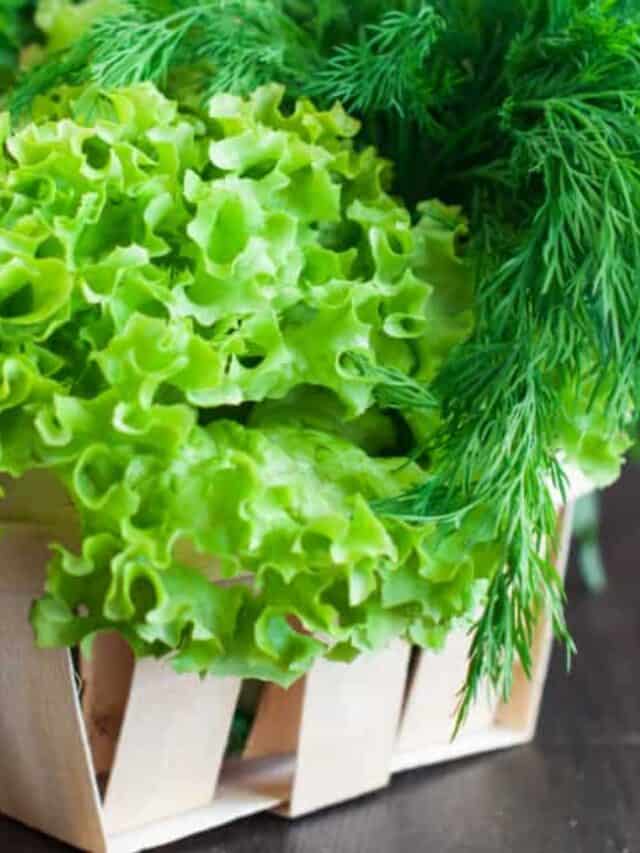 5 Ways to Use Spring Greens When You’re Sick of Salad Story