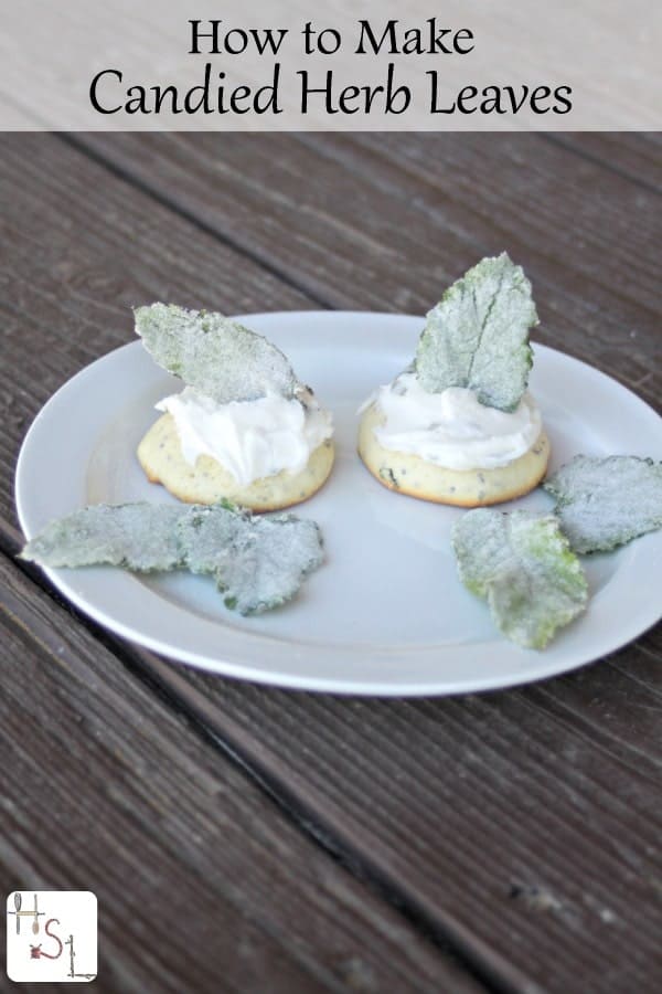 Make candied herb leaves as a fun way to preserve homegrown herbs and make a beautiful presentation on homemade baked goods.