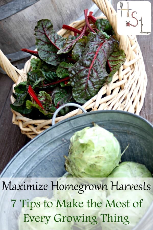 Maximize homegrown harvests with these 7 tips to make the most of every growing thing to increase food security and live more frugally.