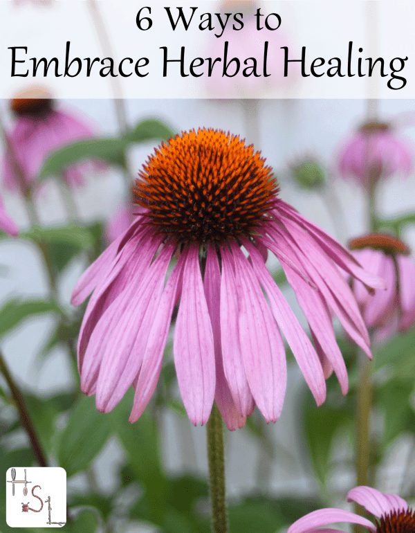 Avoid feeling overwhelmed with the sheer amount of information available with these 6 ways to embrace herbal healing at home.