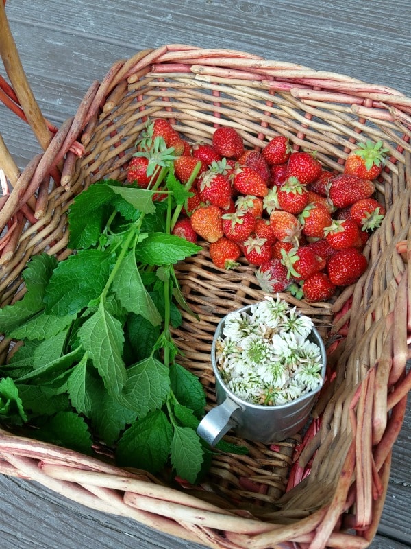 Make the most of early June zone 4B gardening with a few tips and tricks combined with a virtual tour of a northwest Montana vegetable garden.