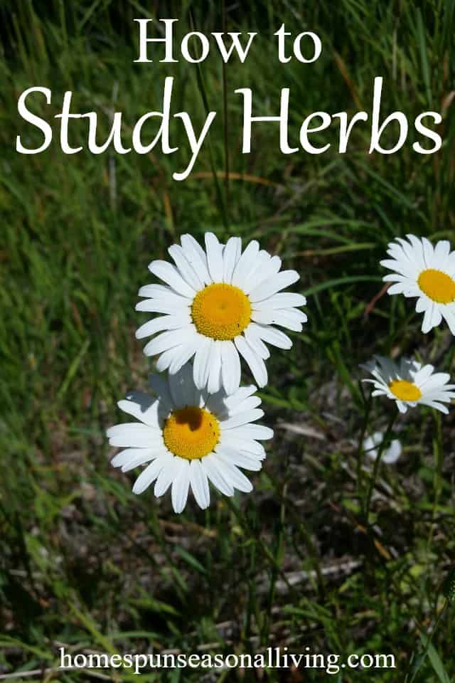 Learn how to study herbs and other plants for medicinal and edible uses with this easy method that includes a journal page printable.