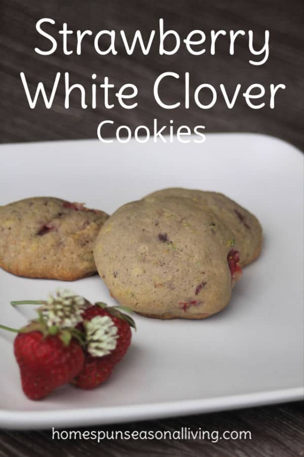 3 strawberry white clover cookies on a plate with fresh strawberries and white clover blossoms.