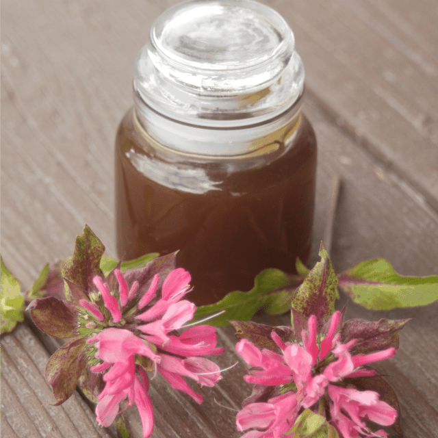 Bee balm oxymel in a bottle surrounded by fresh bee balm flowers on a table.