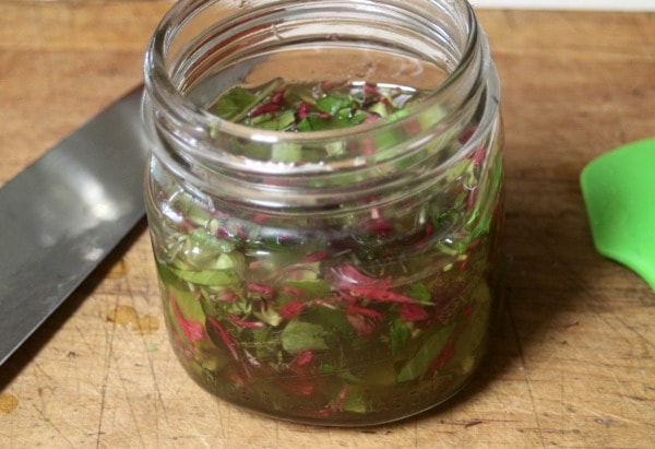 Harvest the flowers and leaves of summer flowers to make bee balm oxymel for relief from colds and sore throats later this year.