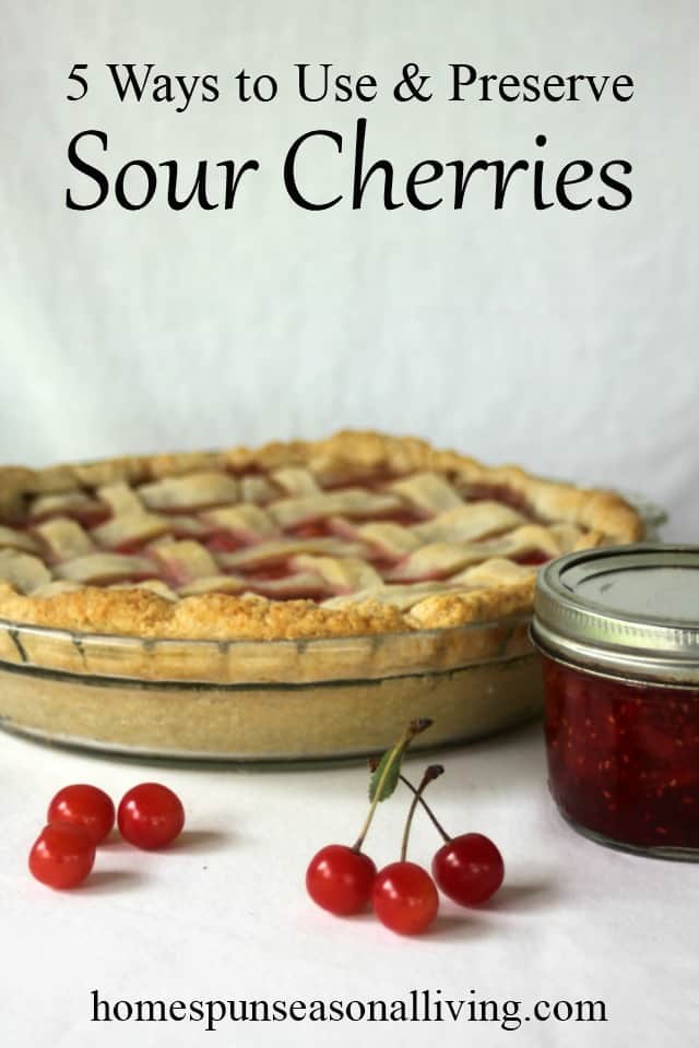 5 ways to use and preserve sour cherries homespun seasonal living 5 ways to use and preserve sour cherries homespun seasonal living