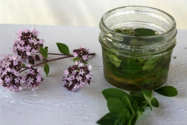 oregano infused honey on a table with oregano blossoms.