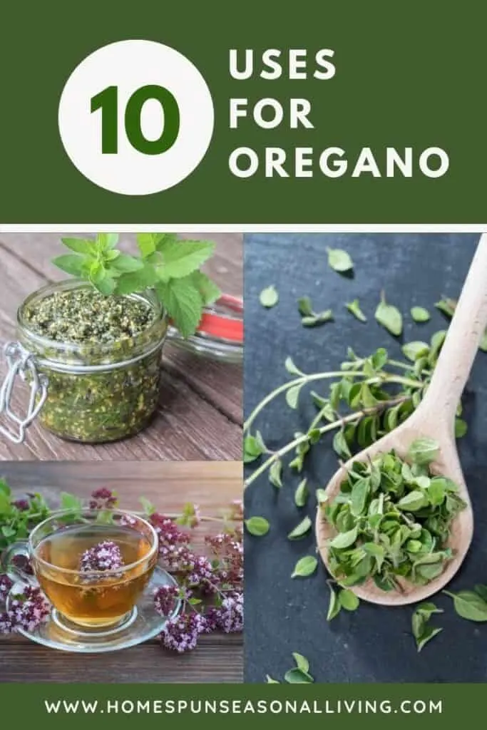 A photo of an open jar of pesto, a cup of herbal tea, anda photo of a wooden spoon full of fresh herb leaves sitting underneath a text block reading 10 uses for oregano.