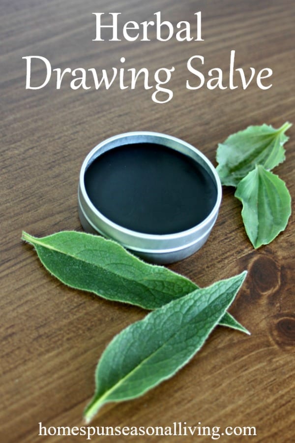 Homemade Drawing Salve with Activated Charcoal - Jenni Raincloud