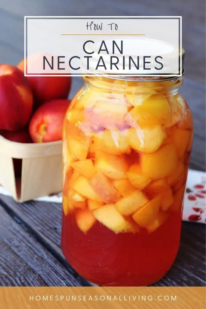 A jar of canned nectarines sitting in front of a cloth table runner with a basket of fresh nectarines sitting on it with text overlay reading: how to can nectarines.