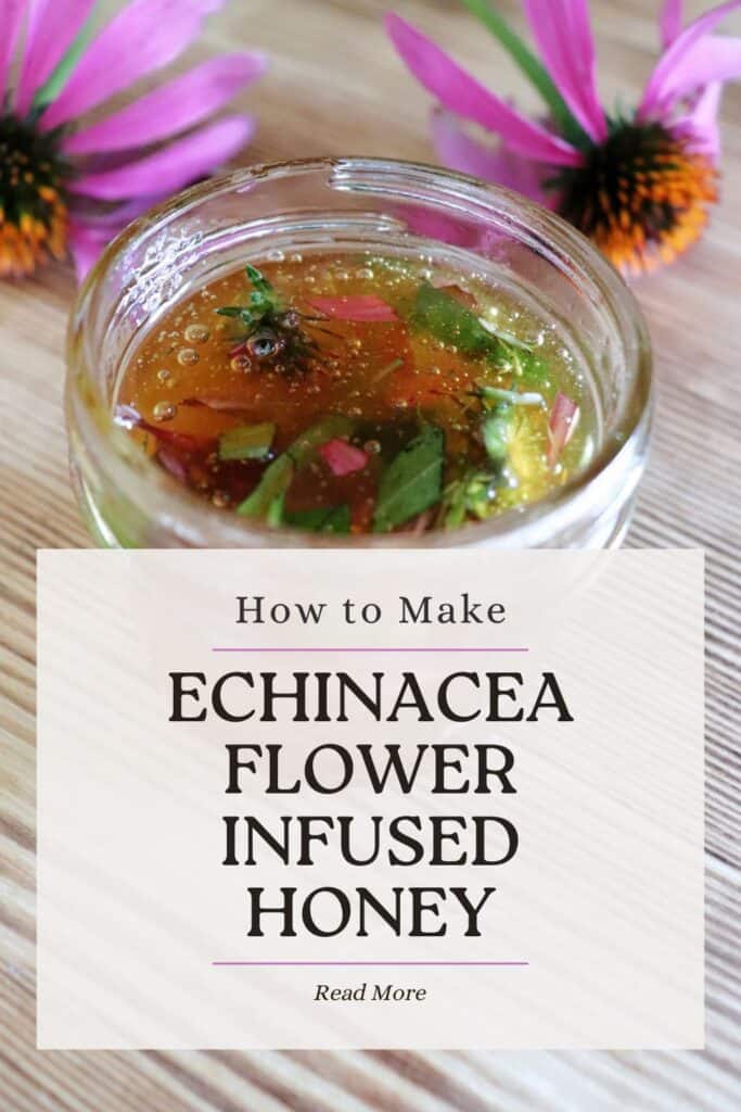 An open glass jar full of honey and purple flowers and green leaves sits on a table. Behind it sits two purple coneflowers in bloom. Text overlay reads: How to Make Echinacea Flower Infused Honey. 