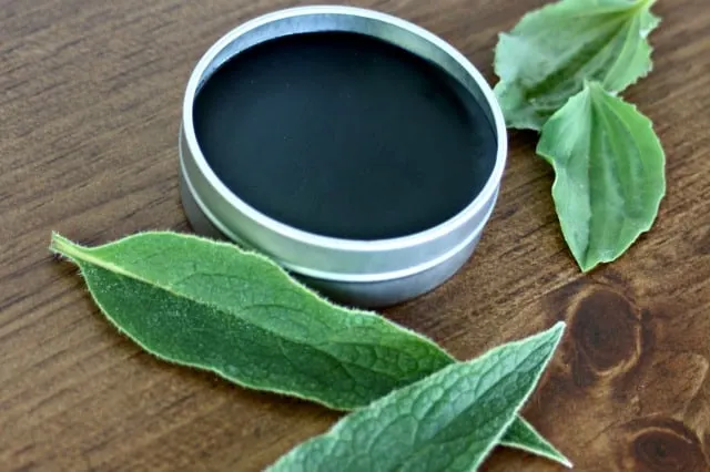 A metal tin full of black drawing salve surrounded by fresh herb leaves.