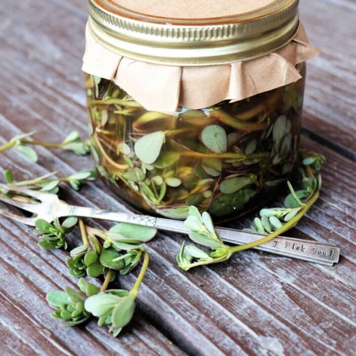 A canning jar with brown paper over the lid, full of purslane stems in a pickling brine surrounded by fresh purslane and a fork on a table.