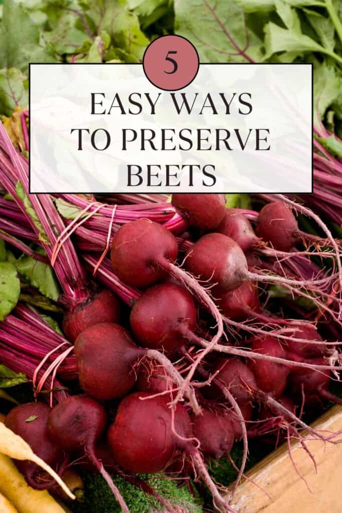A bunch of fresh beets sit on a counter top. Text overlay reads: 5 easy ways to preserve beets. 