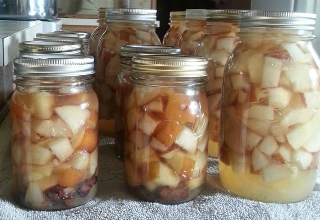 Save the gifts of the fall season for eating in winter and gift giving with these easy and tasty pear preservation methods.
