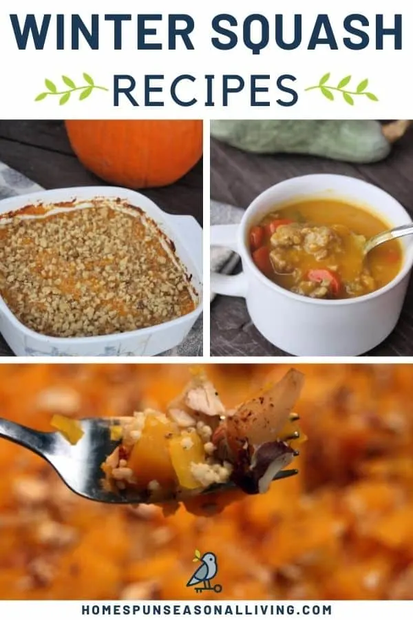 Photos of winter squash recipes with text overlay.