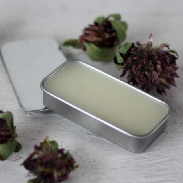 A tin of red clover lip balm surrounded by dried red clover blossoms.