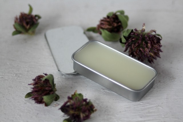 A tin of red clover lip balm surrounded by dried blossoms of red clover.