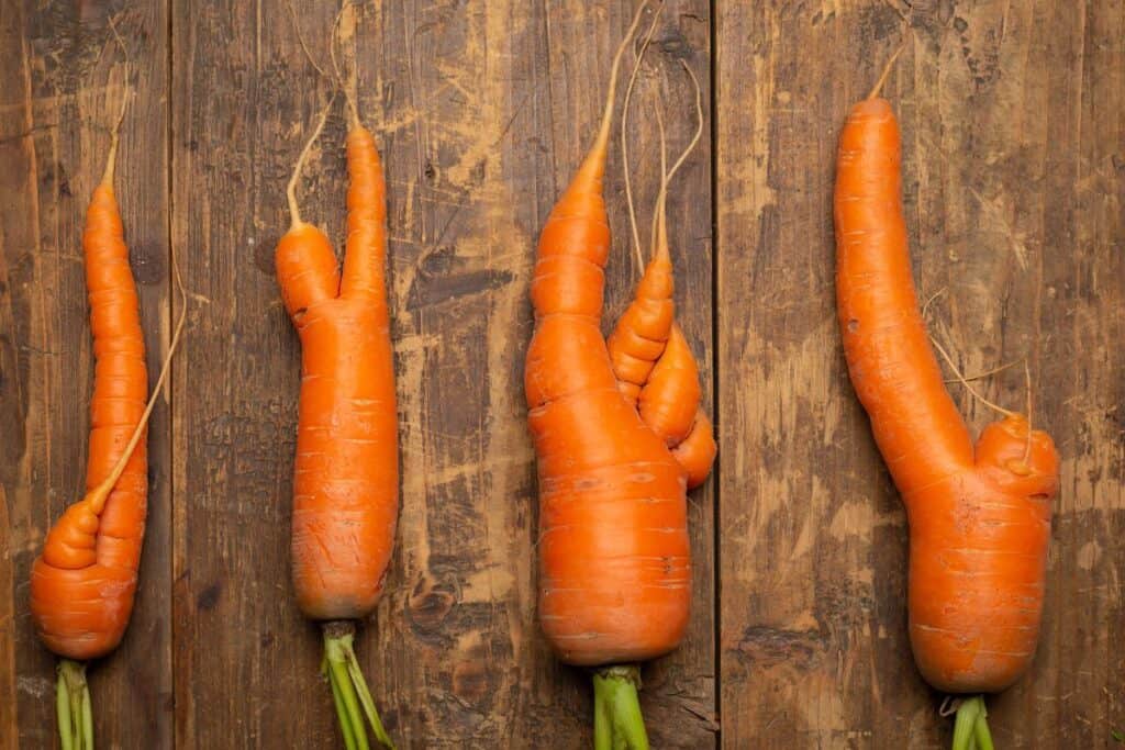 4 misshapen carrots are lined up on a wooden table.