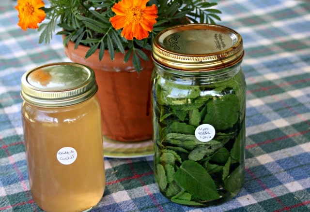 Jars of homemade cordial on a plaid tablecloth with a potted marigold.