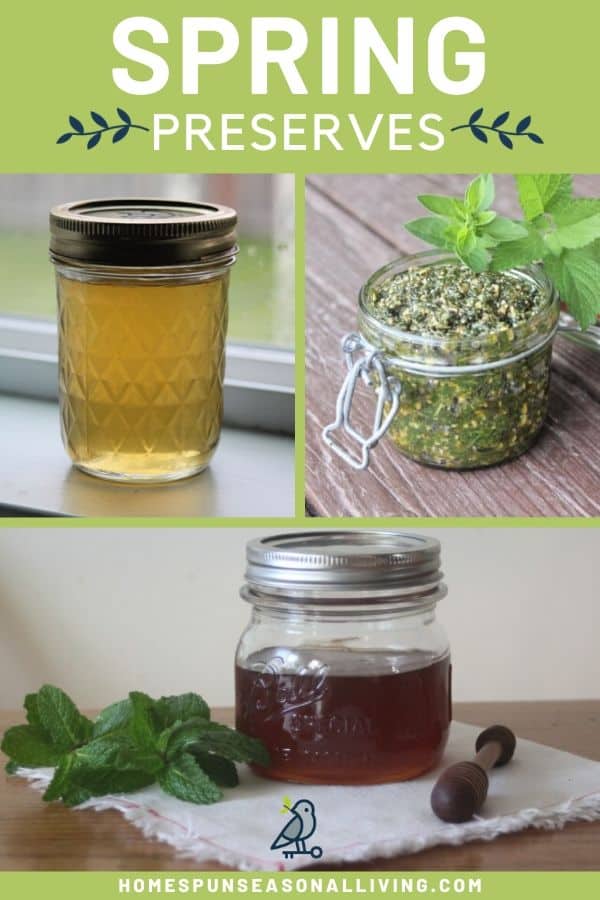 A collage of photos with a jar of dandelion jelly, pesto, and mint infused honey with text overlay.