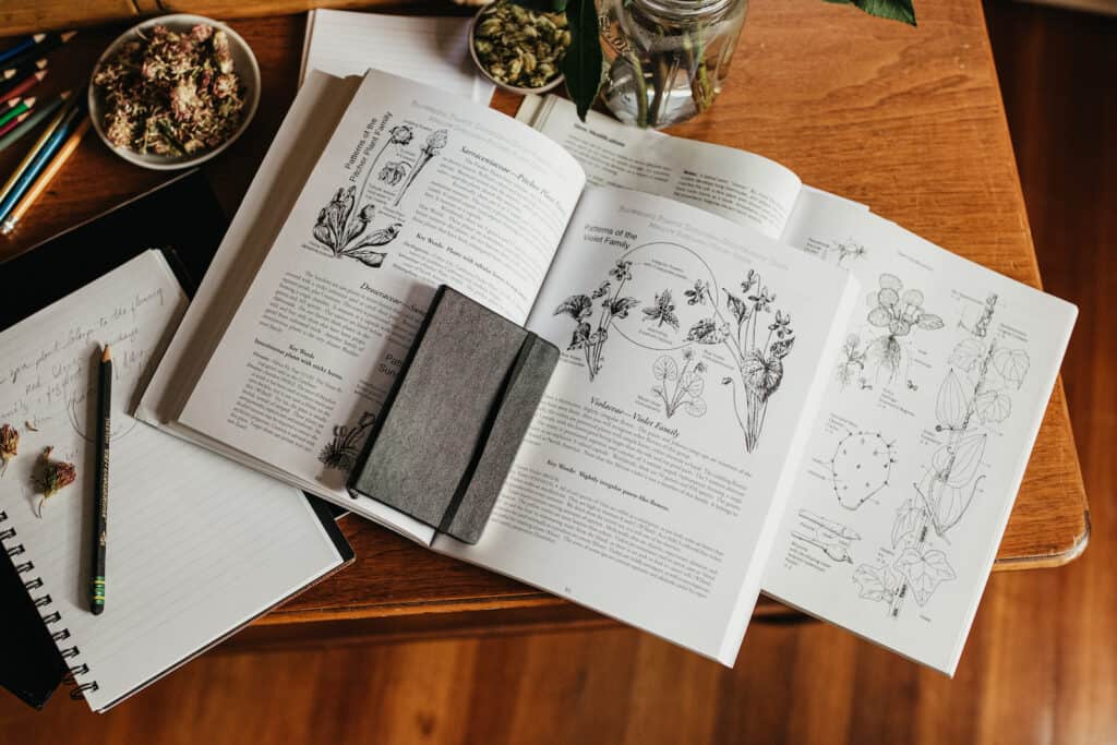 Open books sit on a table depicting herbal drawings. Journals, pencils, and containers of herbs also sit on the table. 