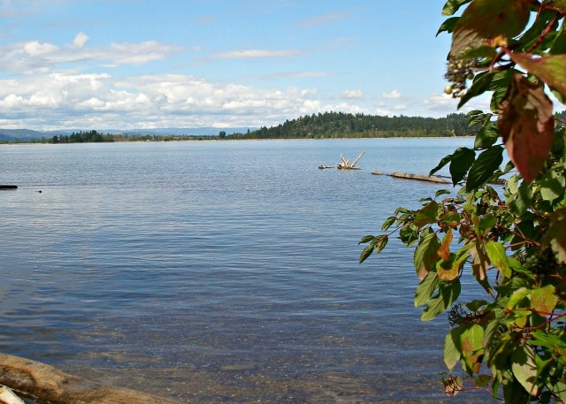 View of lake from the beach.