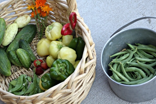 Baskets of peppers, beans, and cucumbers harvested from the garden.