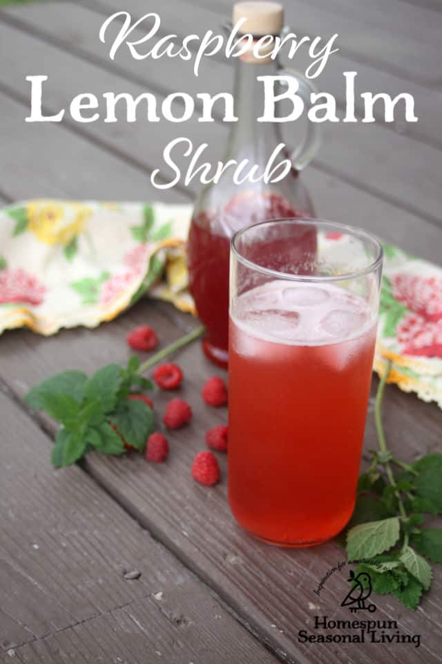 A glass of raspberry lemon balm shrub surrounded by berries and herbs.