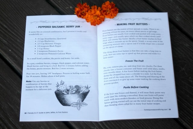 Inside pages of jams guide book with marigold flowers.