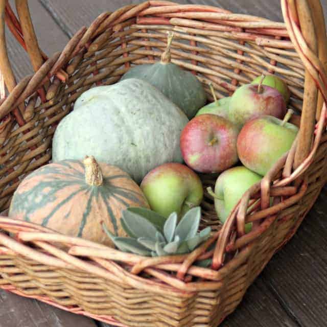 A basket full of winter squash, apples, and a bunch of fresh sage.
