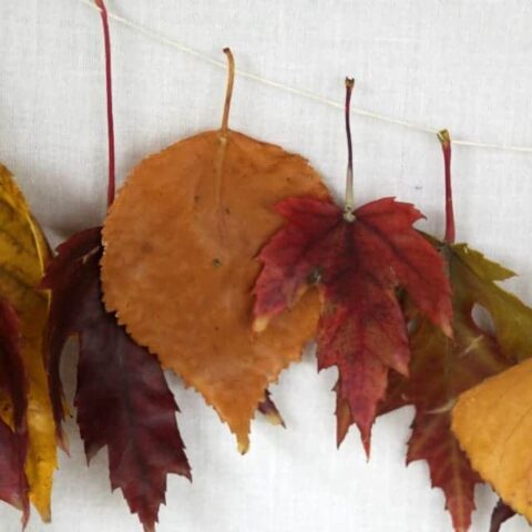 A strand of wax dipped fall leaf garland.