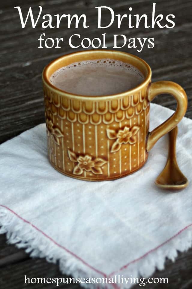 Warm Drinks for Cool Days Homespun Seasonal Living