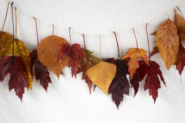 A Strand of multi-colored leaves that have been dipped in beewax and strung together with thread against a white wall. 