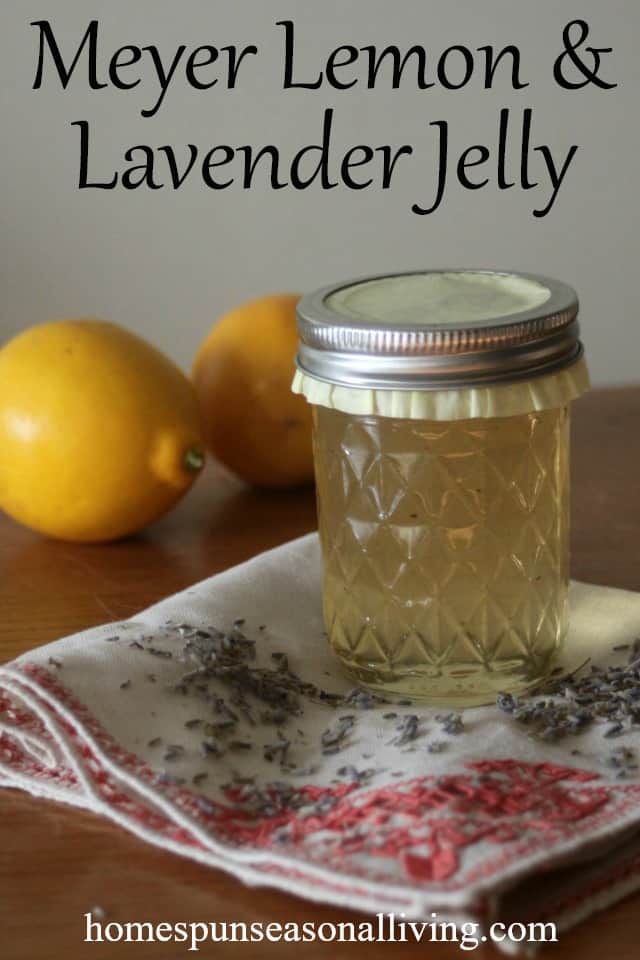 Preserve seasonal citrus with a bright floral flavor in this easy to make and delicious meyer lemon lavender jelly that makes for amazing gifts.