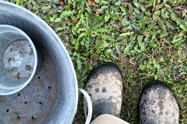 Dirty muck boots get ready for spring.