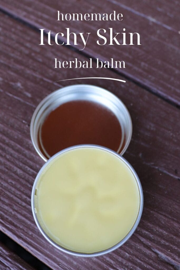 An open tin of herbal salve sits on a table. Text overlay reads: homemade itchy skin herbal balm.